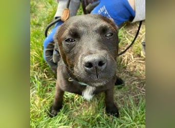 ZARA - wer zeigt ihr die Sonnenseite des Lebens?