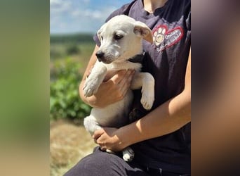 CLEO wer schenkt dem Baby Liebe und Geborgenheit?