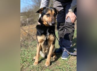 ALFA sehnt sich so nach einer Familie