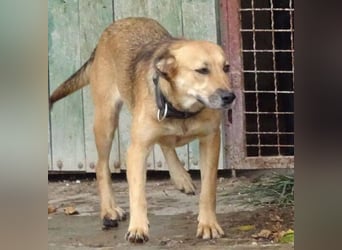 STELLA 2 ist sehr verschmust