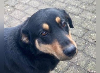 LENKA ist eine ganz sanft Seele