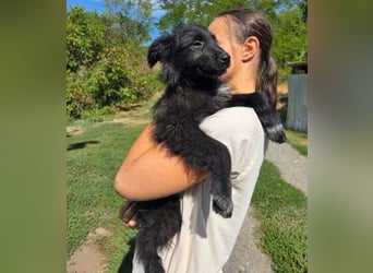 MICO der kleine Bub sucht seine Menschen