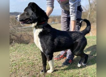 MANY wer tröstet ihn?