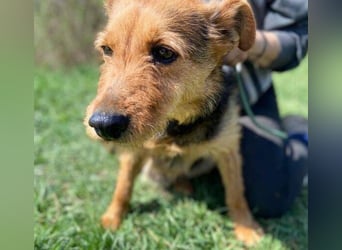 MILLI , wer zeigt ihr wie schön das Leben sein kann.?