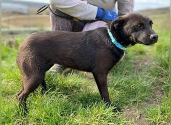 ZARA - wer zeigt ihr die Sonnenseite des Lebens?