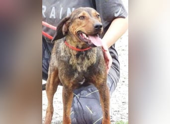 DONNIE braucht Lebensretter