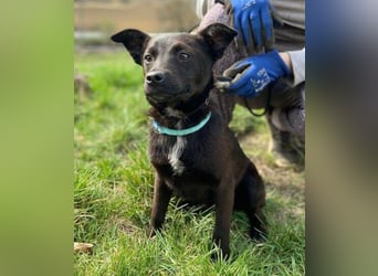 ZARA - wer zeigt ihr die Sonnenseite des Lebens?