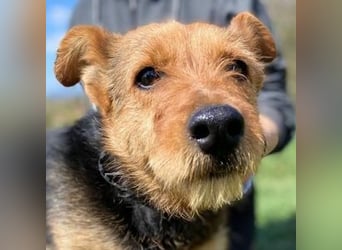 MILLI , wer zeigt ihr wie schön das Leben sein kann.?