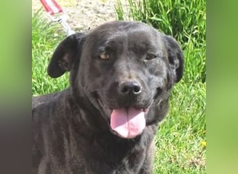 NIKA - Wer gibt ihr die Hoffnung zurück?