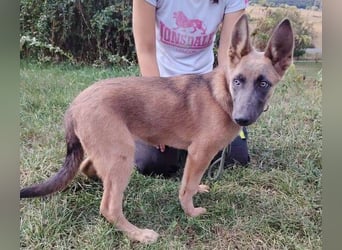 SADIE  ist superfreundlich