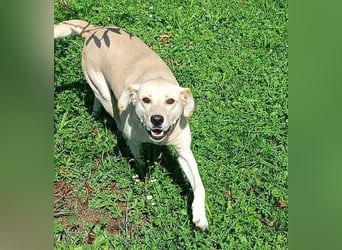 REXI ist ein Goldschatz REXI ist ein Goldschatz