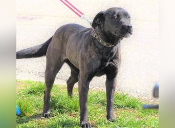 NIKA - Wer gibt ihr die Hoffnung zurück?