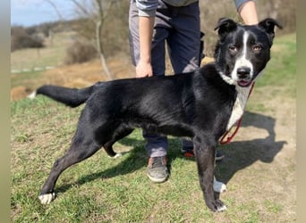 MANY wer tröstet ihn?