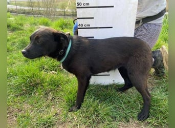 ZARA - wer zeigt ihr die Sonnenseite des Lebens?