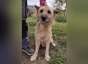 ELZA 2 ist super nett und freundlich