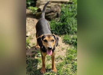 MASHA ist sehr liebenswert