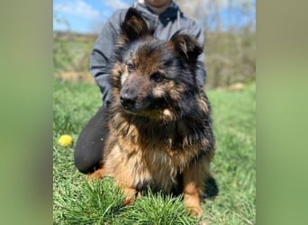 BUGY musste ein elendes Leben fristen