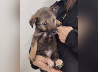DUNJA das Baby wurde einfach zurück gelassen