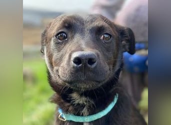 ZARA - wer zeigt ihr die Sonnenseite des Lebens?