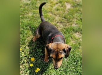 MASHA ist sehr liebenswert