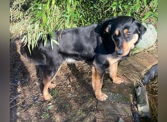 LENKA ist eine ganz sanft Seele