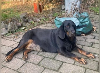 LENA ist ein zauberhaftes Wesen