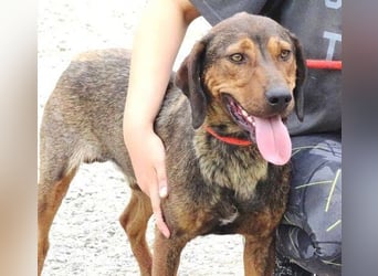 DONNIE braucht Lebensretter