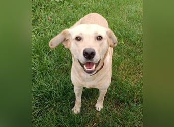 REXI ist ein Goldschatz REXI ist ein Goldschatz