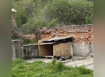 PAJTY  soll es endlich schön haben
