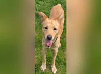 BONI ist sehr liebevoll