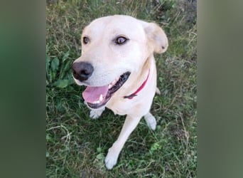 REXI ist ein Goldschatz REXI ist ein Goldschatz