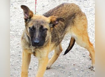 REA 2 ist in großer Not
