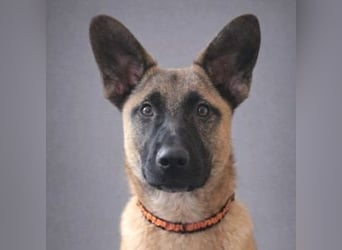 XARO verspielt und aufgeschlossen