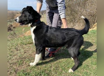 MANY wer tröstet ihn?