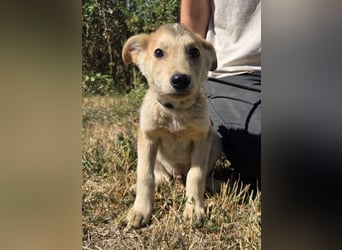 PAUL der kleine Bub wurde ausgesetzt