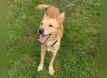 BONI ist sehr liebevoll