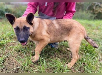 XARO verspielt und aufgeschlossen