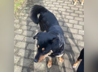 LENKA ist eine ganz sanft Seele