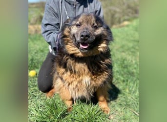 BUGY musste ein elendes Leben fristen