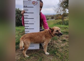 ELZA 2 ist super nett und freundlich