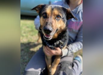 ALFA sehnt sich so nach einer Familie