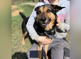 ALFA sehnt sich so nach einer Familie