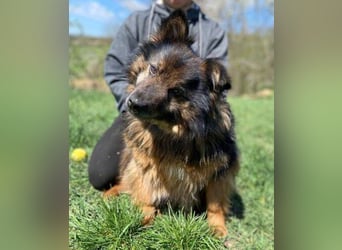 BUGY musste ein elendes Leben fristen