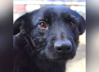 TEA muss um ihr junges Leben zittern