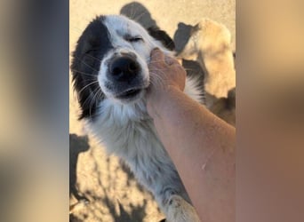 TUCKER ist in Gefahr
