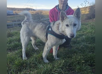 ADRIENA ist verspielt und freundlich