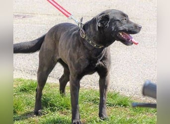 NIKA - Wer gibt ihr die Hoffnung zurück?