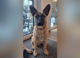 XARO verspielt und aufgeschlossen