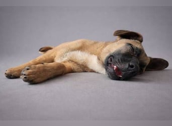 XARO verspielt und aufgeschlossen