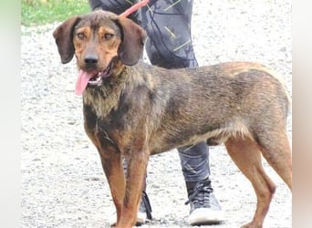 DONNIE braucht Lebensretter